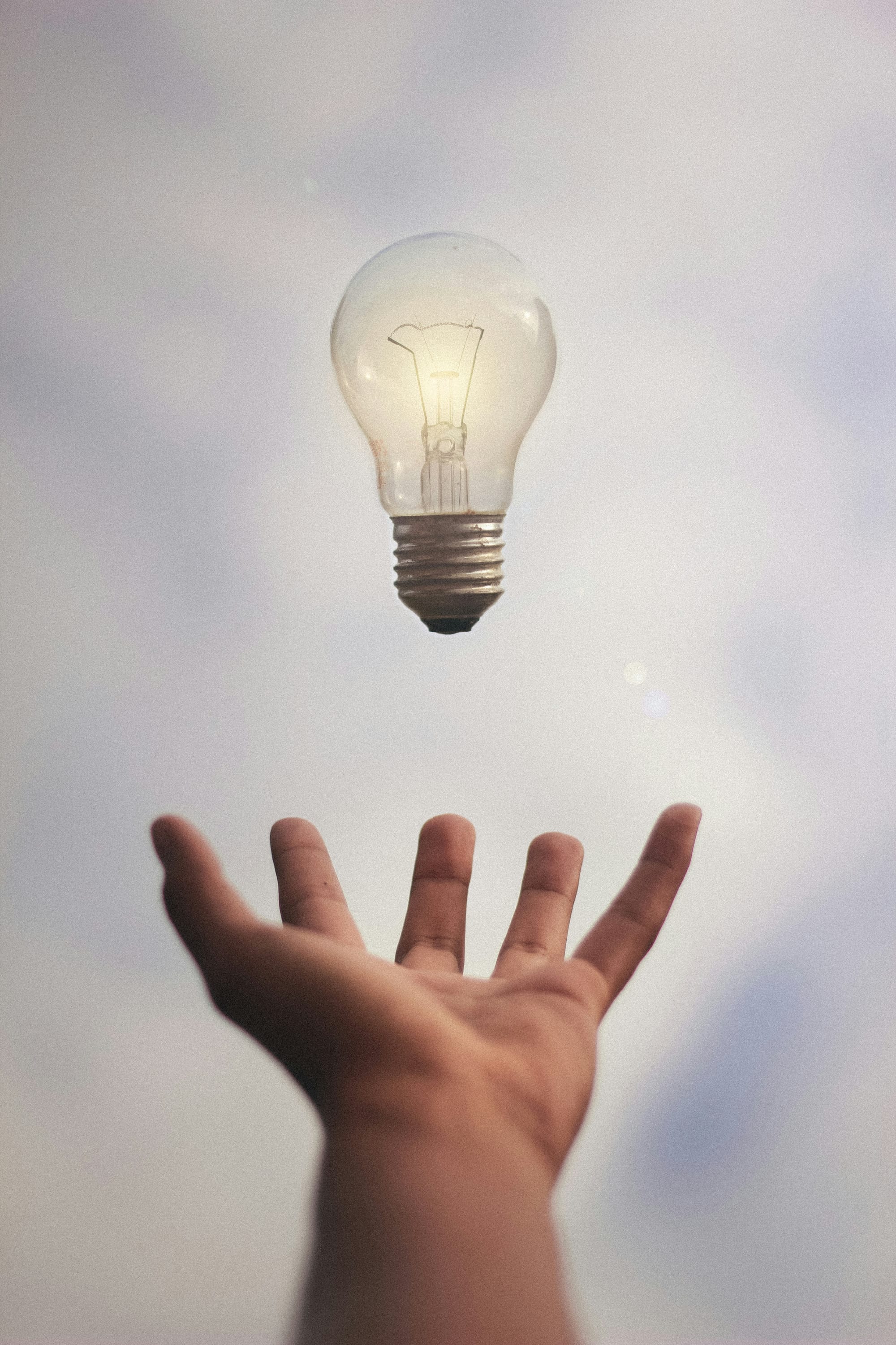 white light bulb near three yellow clips