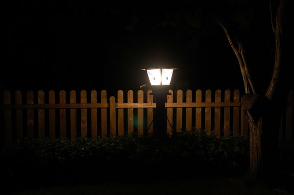 How To Update Your Garden Lighting To Show Off Your New Plant Projects